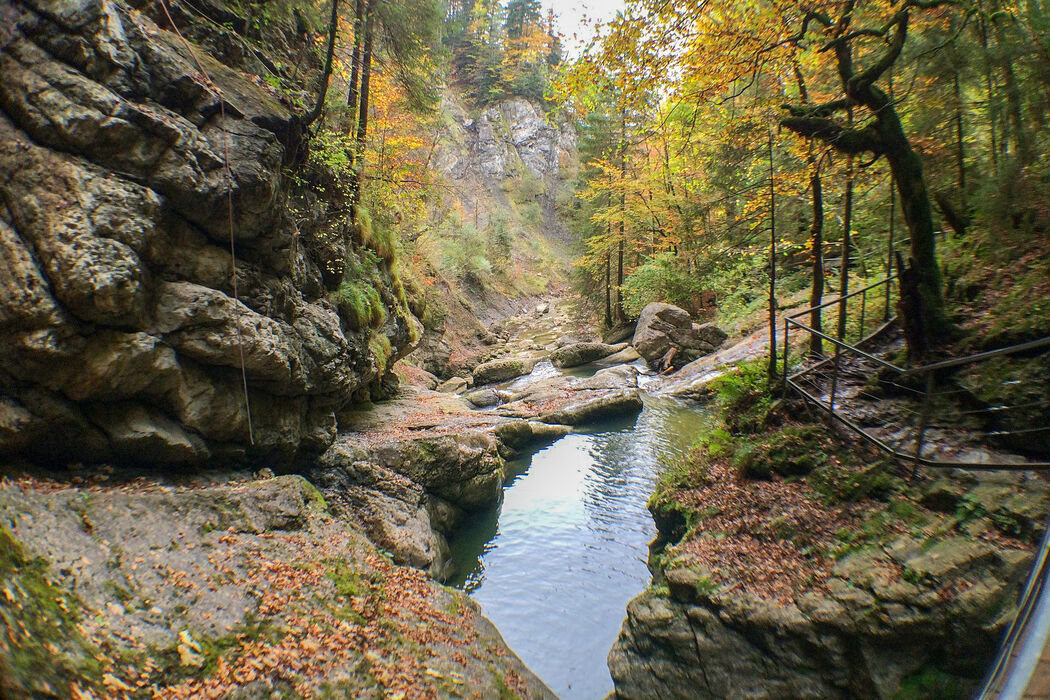 Wandern in der Starzlachklamm im Kinderhotel Allgäuer Berghof